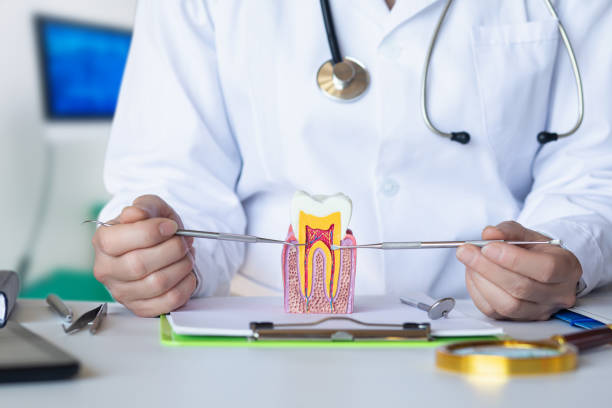 Best Broken Tooth Emergency  in Awendaw, SC